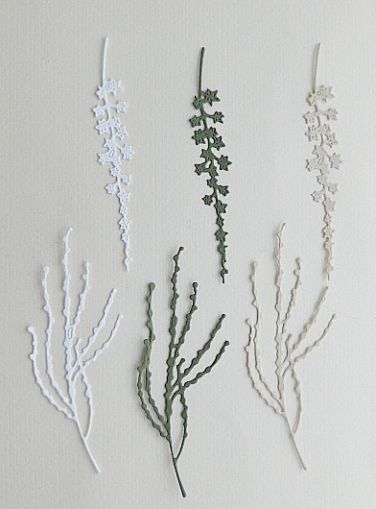 Бръшлян клонки - 6 бр.