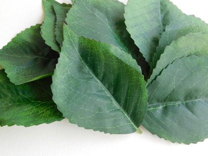 Листа - Големи - 15 бр.