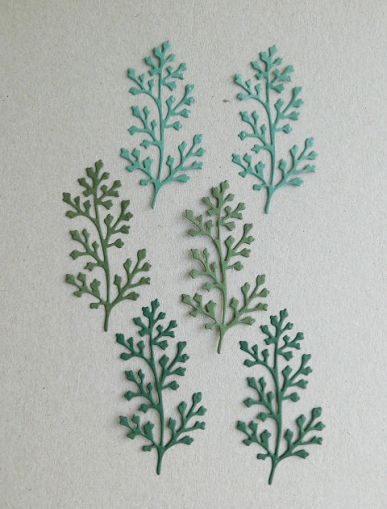 Клонки - Зелени- 6 бр