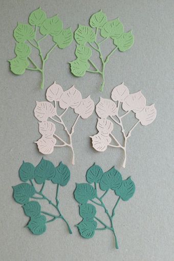 Цветя -  Клонче с Листа - 6 бр