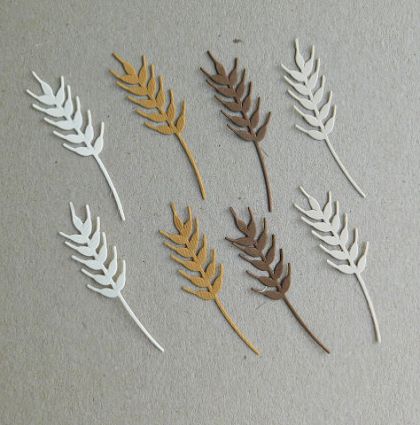 Житен клас - 6 бр