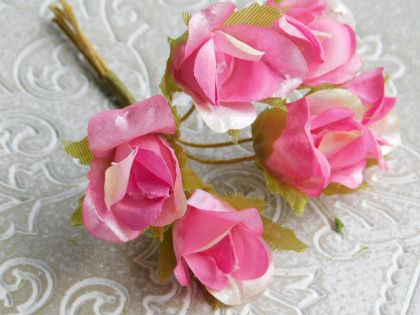 Рози - Циклама седеф - 6 бр