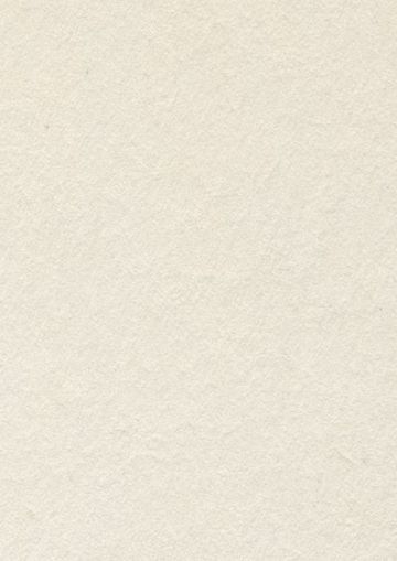 Бирен картон - 29.6 х 21см.- 1,00 мм