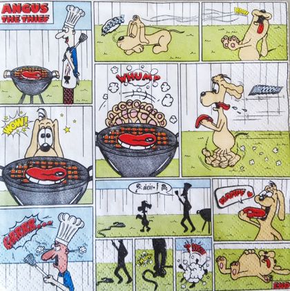 Пакет Салфетка Angud the Thief 211525