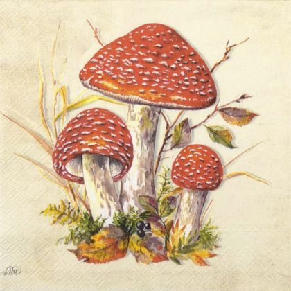 Пакет Салфетки Toad cream 1011560