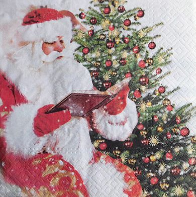 Пакет Салфетки Santa read the book 9480340