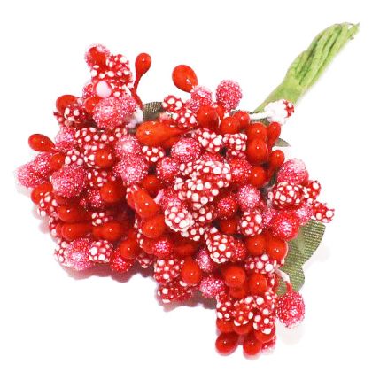 Тичинки - Червено-Оранжеви - " захарни "