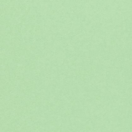 Картон - Spring Green / Olin / - A4