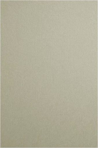 Картон - Млечно Сиво ( Nettuno )