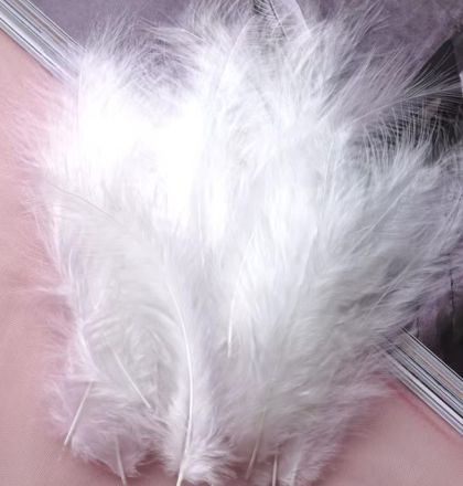 Пера - Бяло - 10-17 см - 10 бр.