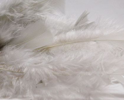 Пера - Сиво-розови - 12-16 бр - 2 гр.