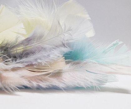 Пера - Микс пастелни цветове - 12-16 бр. - 2 гр.