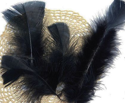 Пера - Черно - 12-16 бр. - 2 гр.