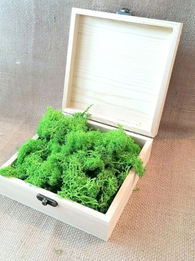 Скандинавски еленски мъх - Пролет №22 - 150 гр.