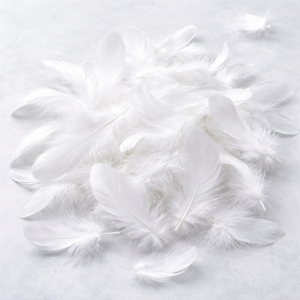 Пера - Бяло - 100 бр. / 10 гр.