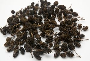 Натурални шишарки мини Елша - 120 бр.