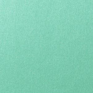 Перлен картон - Stardream  Green Lagoon