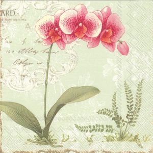 Салфетка L'Orchidee light green 809729