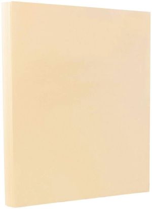 Картон - Бристол Пепел от рози