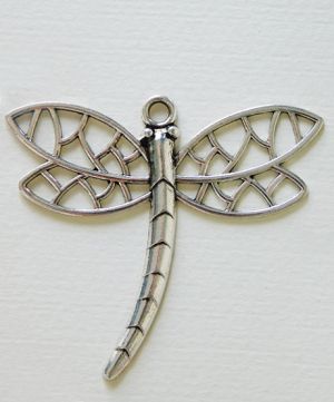 Водно конче