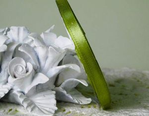 Панделка Сатен - Папрат зелено - 20 м. №108