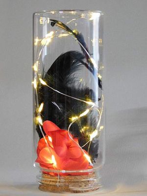 LED лампички - 1,00 м, 10 LED светодиода