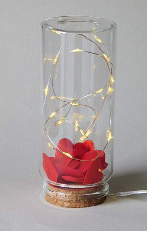 LED лампички - 1,00 м, 10 LED светодиода