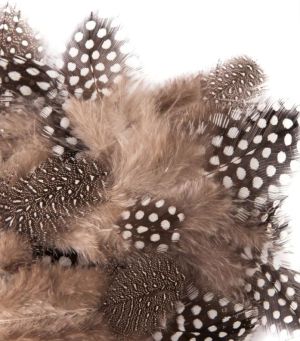 Пера екзотични от токачка -  2 -7  cm -  5 гр.