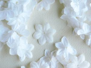 Цветчета - Бяло  - 260 бр.