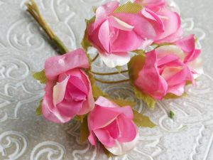 Рози - Циклама седеф - 6 бр