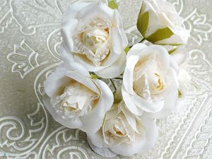 Рози - Крем с органза - 6 бр