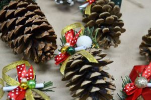 Натурални Шишарки  - 7.00- 8.00 см  1 бр.