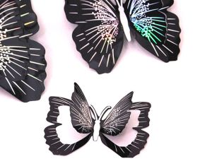 Пеперуди Сребрист Хамелион - 3 размера