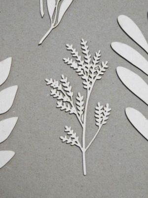 Клончета  -  15 бр.