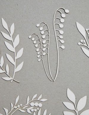 Клончета  -  15 бр.