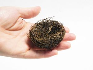 Мини гнездо за декорация - 4 бр.- 6,00 см