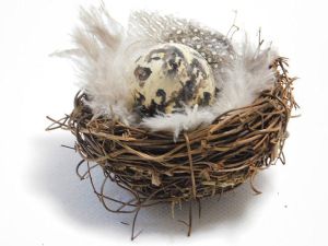 Пътпъдъчи яйце за декорация - 5 бр.