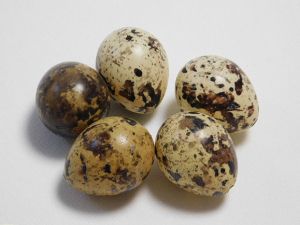 Пътпъдъчи яйце за декорация - 5 бр.