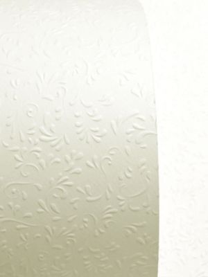 Релефен Картон - ROMA Champange