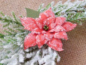 Ледени кристали - 35 гр.