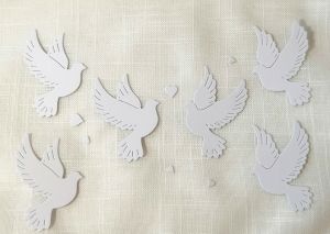 Гълъби - 6 бр.