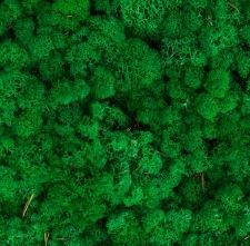 Скандинавски еленски мъх - Тъмно Тревисто №25 - 50 гр