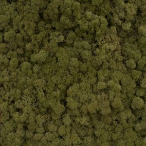 Скандинавски еленски мъх - Маслина №20 - 150 гр.