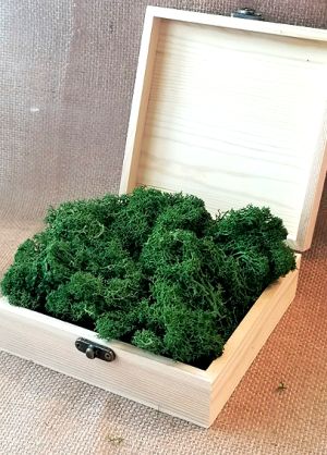 Скандинавски еленски мъх - Тъмно Тревисто №25 - 150 гр