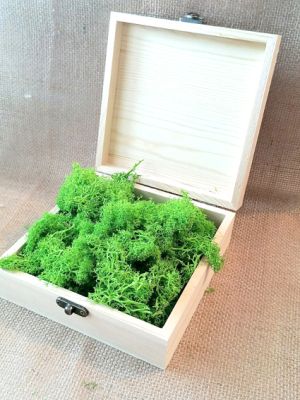 Скандинавски еленски мъх - Пролет №22 - 150 гр.