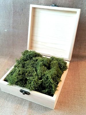 Скандинавски еленски мъх - Маслина №20 - 50 гр.