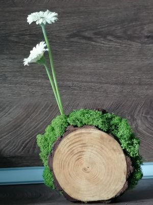 Шайба от дърво - 15,00 - 16,00 см