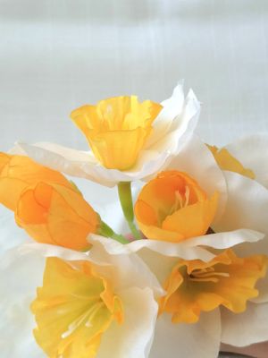 Нарциси Бели - 7 бр.