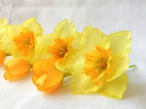 Нарциси Жълти - 7 бр.